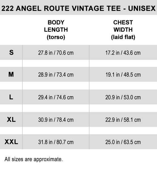 222 WILLOW SOUL Angel Route Tshirt Size Guide