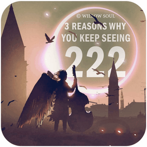 Spiritual Meaning of 222 WILLOW SOUL