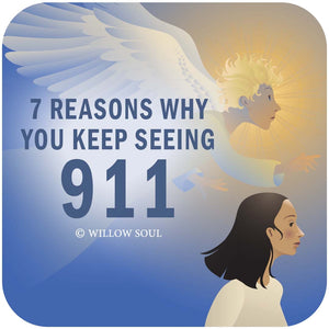 Top Meaning of 911